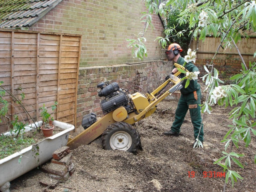 removing stump from garden