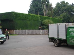 the team working on hedge trimming