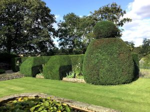 Topiary Hedges - After